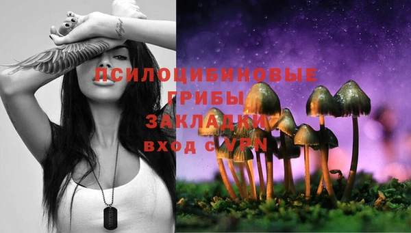 синтетический гашиш Тихорецк